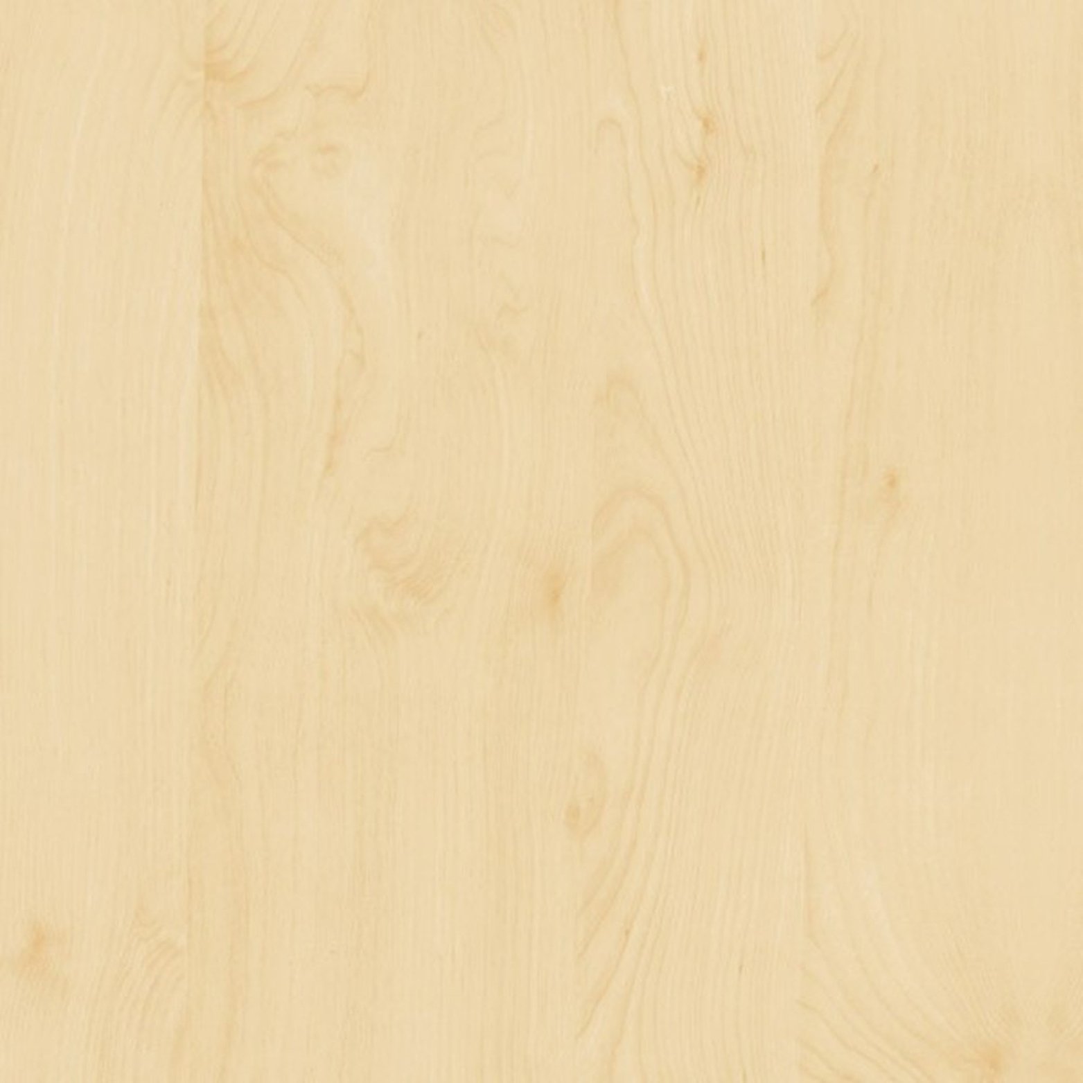 Birch