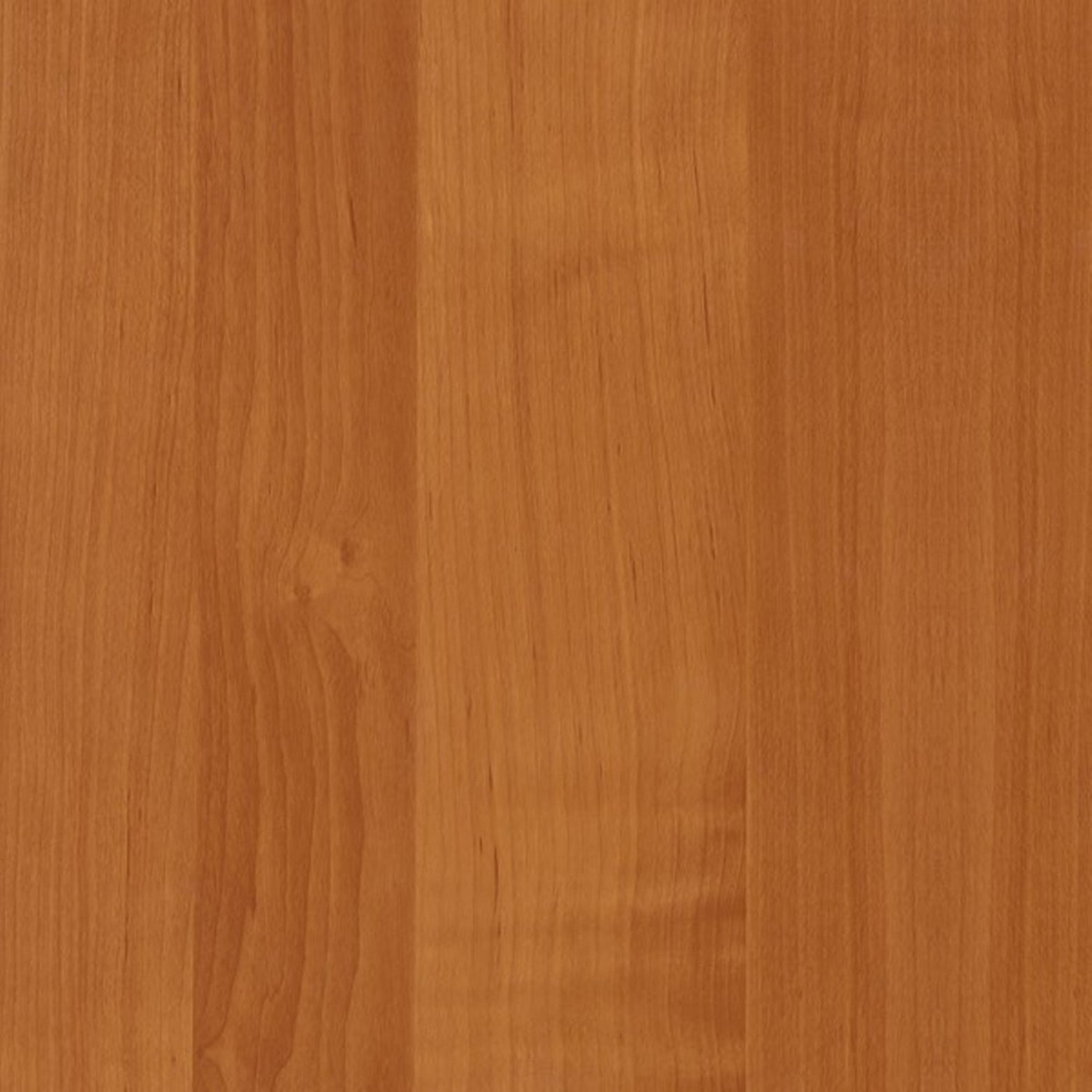 Medium Alder