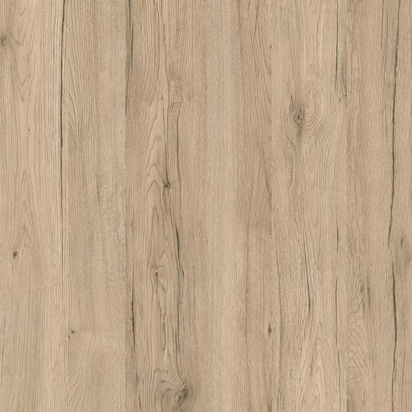 Sanremo oak sand