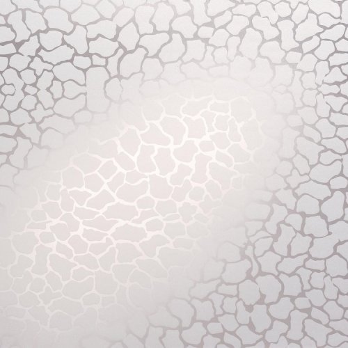 LAVA