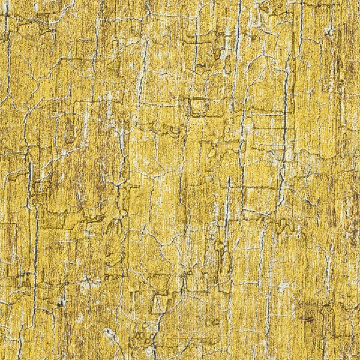 Lime Gold