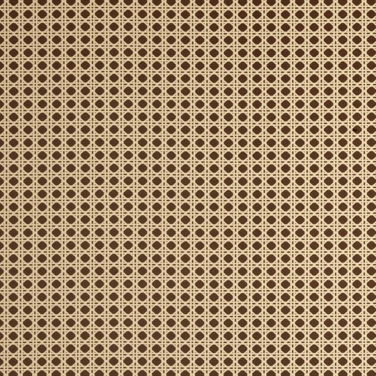 Woven Cane adhesive film
